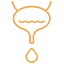 Common Bladder Challenges