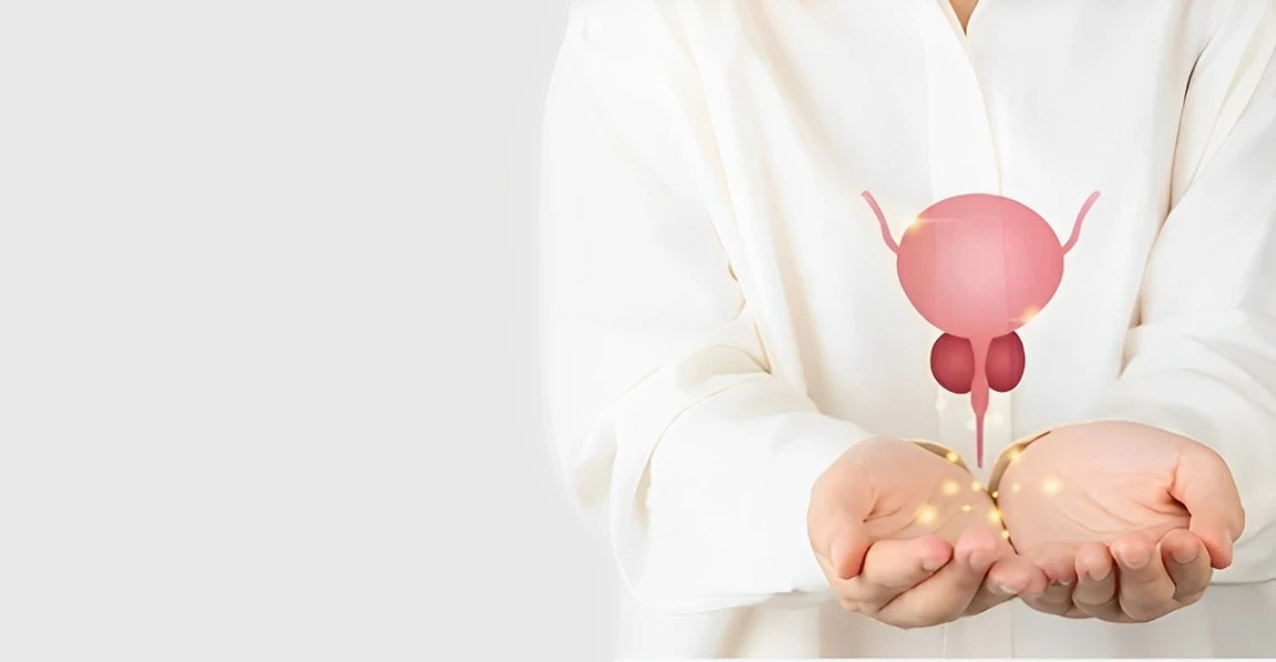 Take Control of Your Comfort: The Foundation of Bladder Wellness