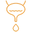 Common Bladder Challenges