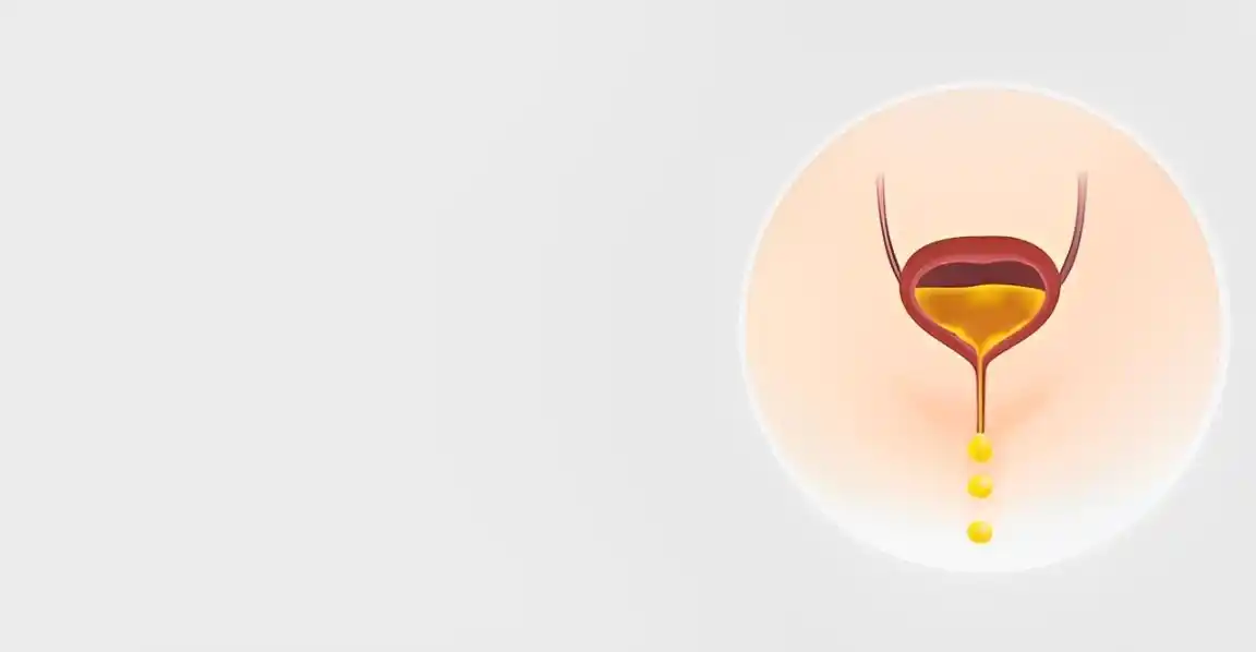 Reclaim Your Vitality: Master Your Bladder Health