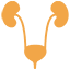 Neurogenic Bladder: Managing Nerve-Related Urinary Dysfunction