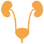 Neurogenic Bladder: Managing Nerve-Related Urinary Dysfunction